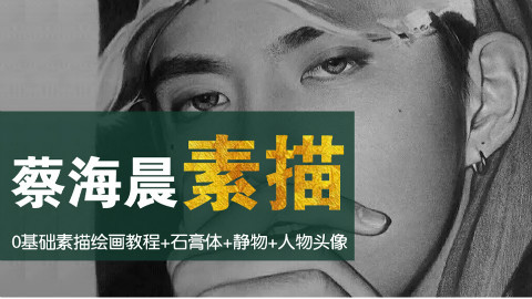 【史上最强画画教学】素描篇第16集 (蔡海晨素描绘画手绘画画工作室出品)